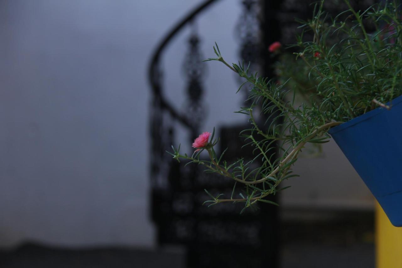 De Asian Villa Pondicherry Όρβιλ Εξωτερικό φωτογραφία